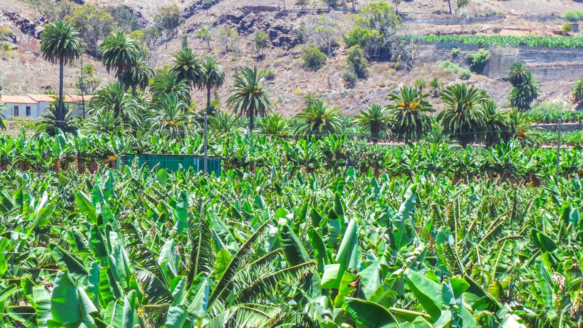 El Refugio Los Portales Arucas Kültér fotó